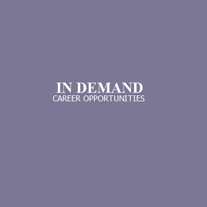 IN DEMAND Recruitment & Consulting Inc.  Logo